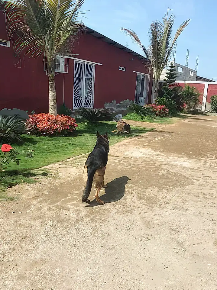 Ecuador Real Estate List and Find the Best Properties in Ecuador