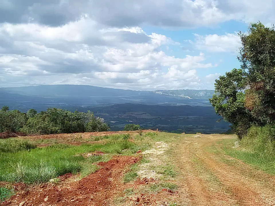 Jamaica Farms and Land for Sale List and Find the Best Farm and Land