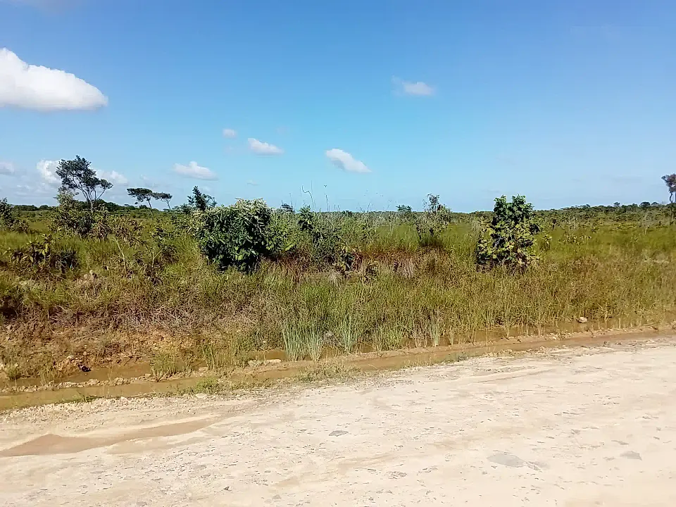 Land for Sale in Burrell Boom, Belize