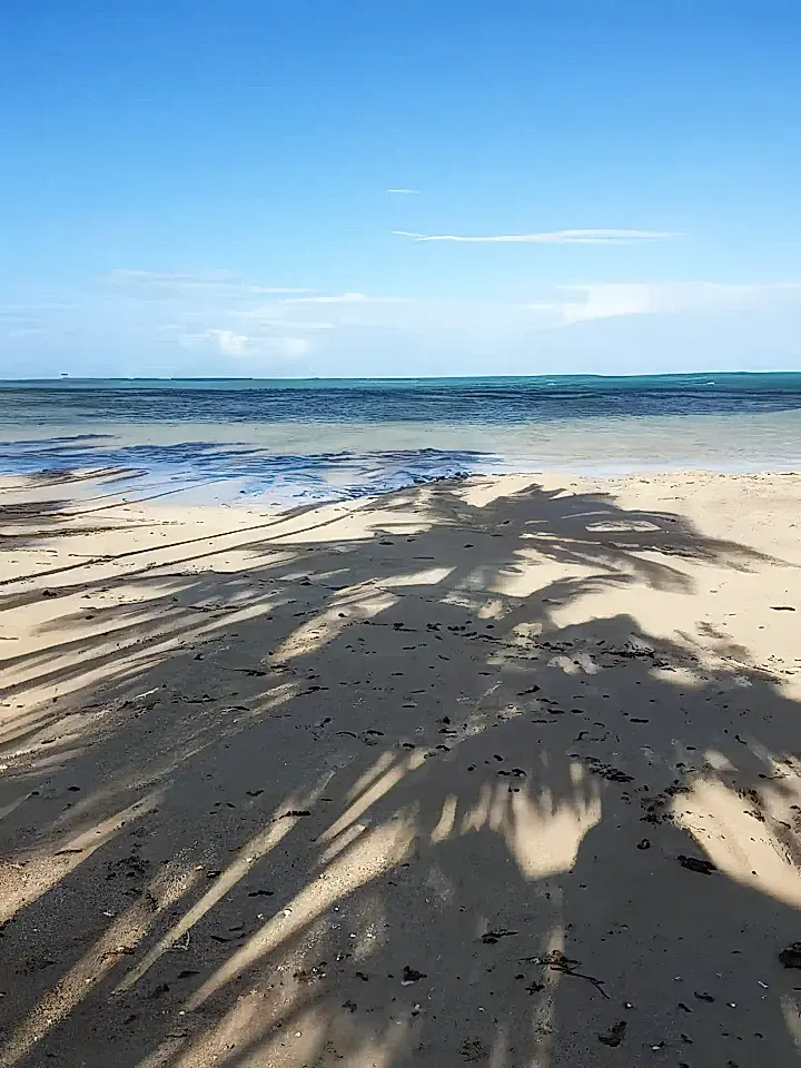 Beachfront Bures for Rent in Vanua Levu, Cakadrove, Fiji