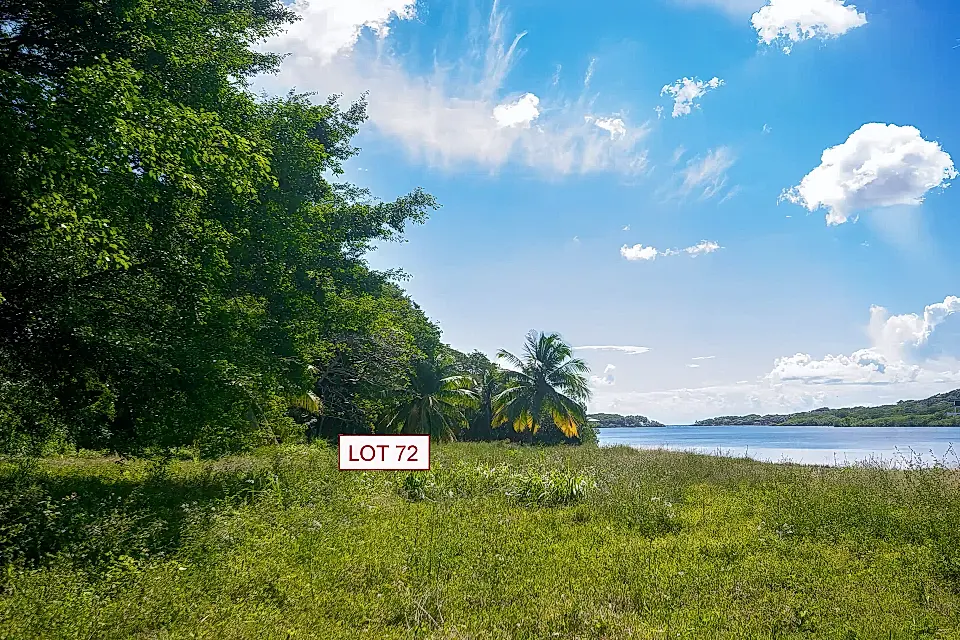 Lots/Land for Sale in The Caribbean Viviun