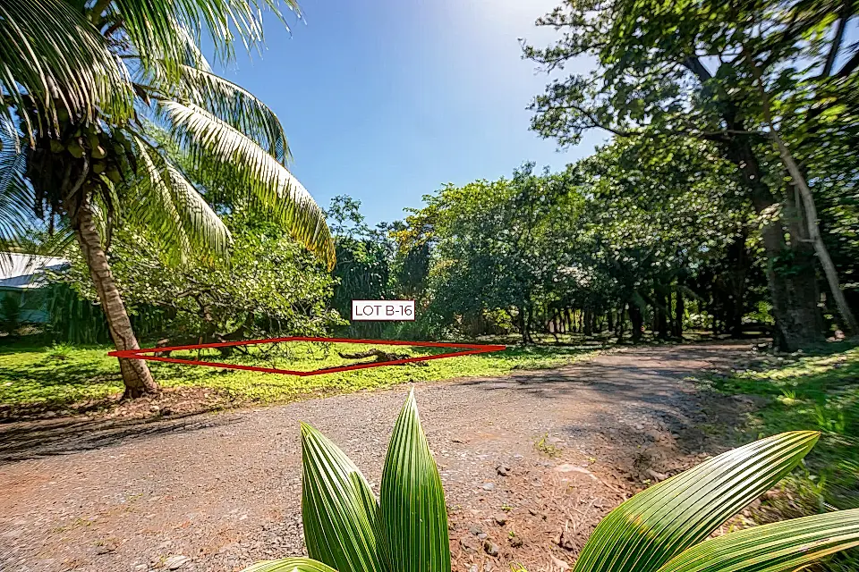 Lots/Land for Sale in The Caribbean Viviun