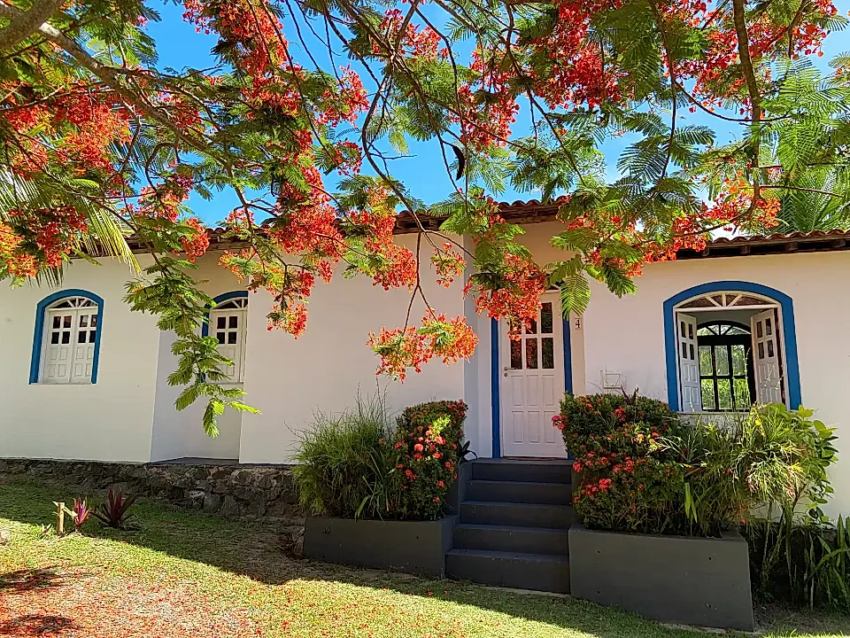 Brazil Real Estate Properties for Sale in Brazil Viviun