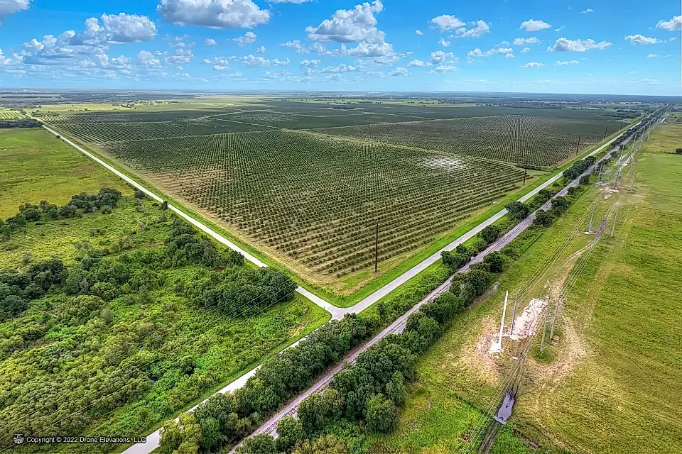 Citrus Farm for Sale in Arcadia, Florida, USA
