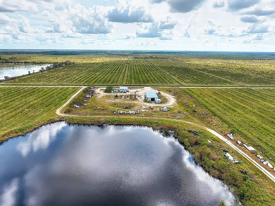Citrus Farm for Sale in Punta Gorda, Florida, USA