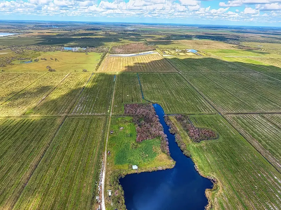 Citrus Farm for Sale in Punta Gorda, Florida, USA