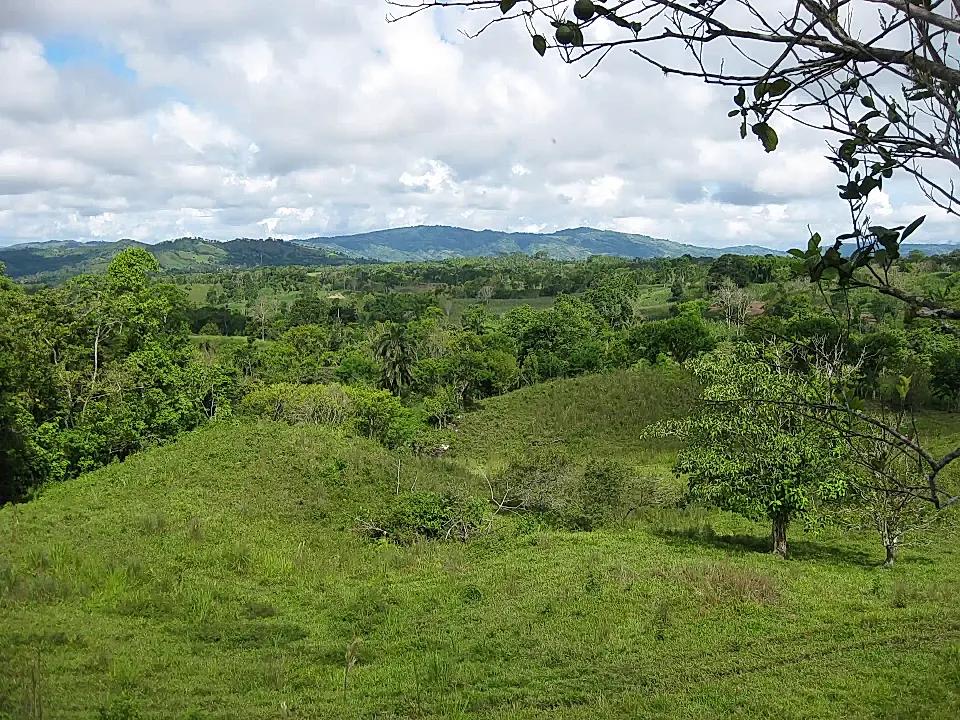 10 Acres Titled Land for Sale in La Primavera, Bugaba, Chiriqui, Panama