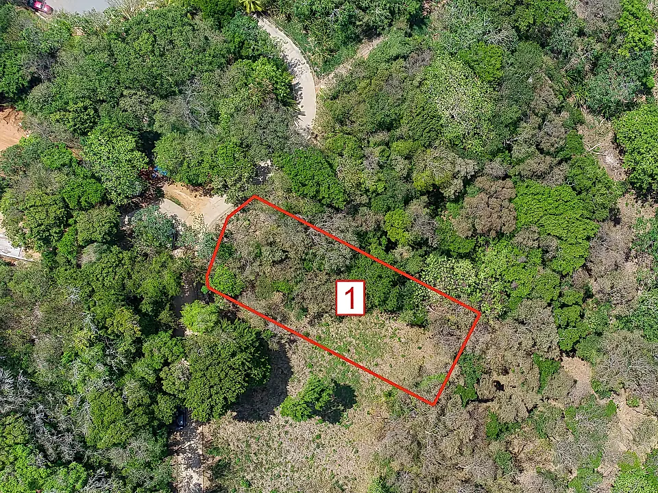 Lots/Land for Sale in Honduras Viviun