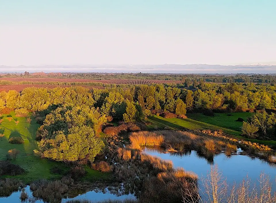 Chile Real Estate Properties for Sale in Chile Viviun