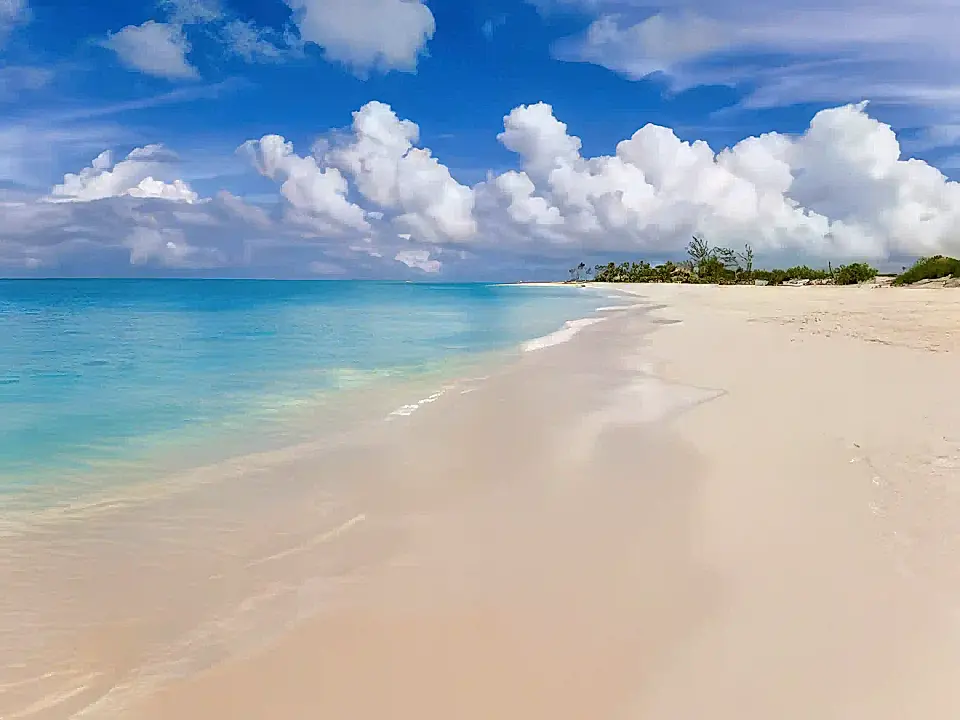 Beach Condo for Sale and Rent in Providenciales, Turks and Caicos