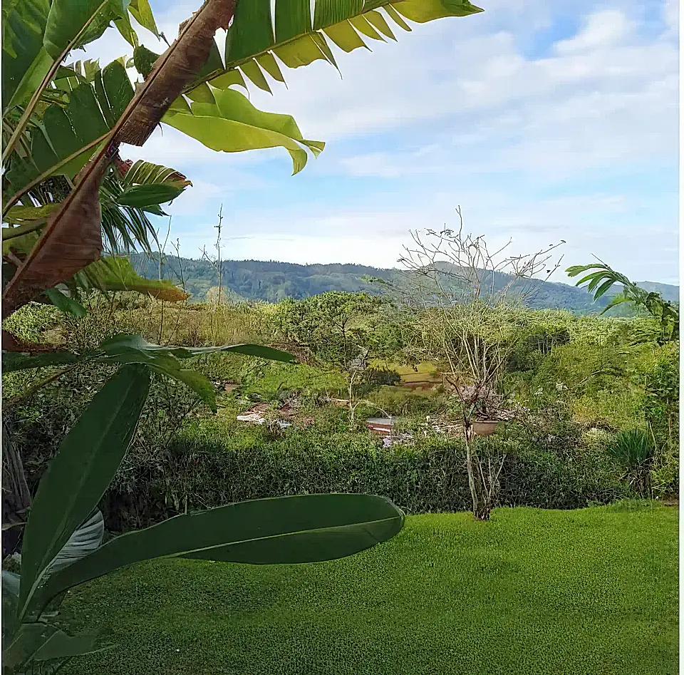 1 Floor Rancho for Sale in San Vito, Puntarenas, Costa Rica