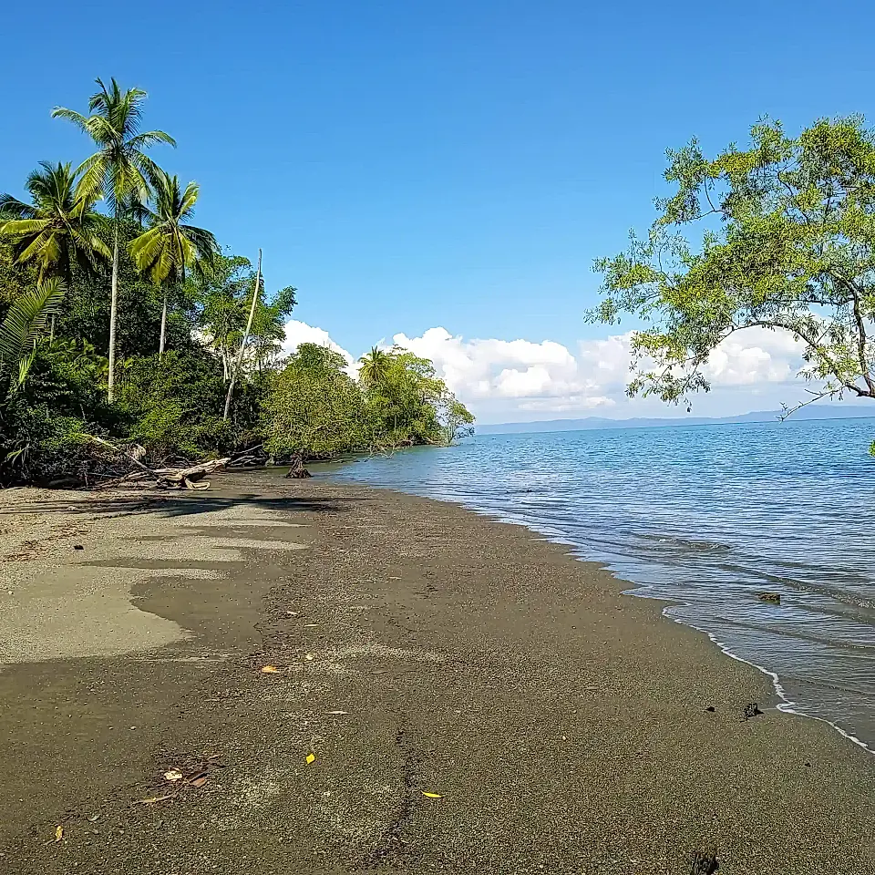 Costa Rica Oceanfront Farms and Land for Sale List and Find the Best