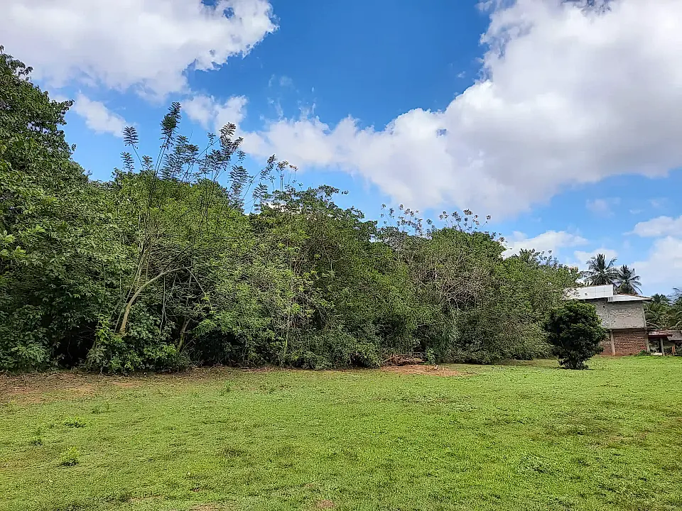 Land for Sale in Tangalle, Southern, Sri Lanka