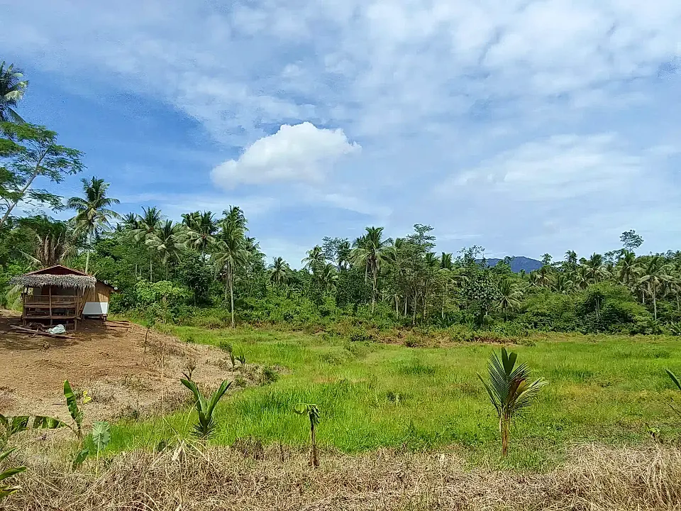 Philippines Affordable Ocean View Lots and Land for Sale List and Find
