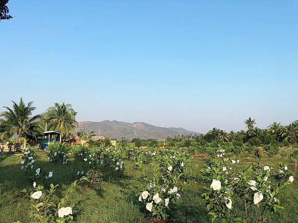 Farm Resort for Sale in Kui Buri, Prachuap Khiri Khan, Thailand