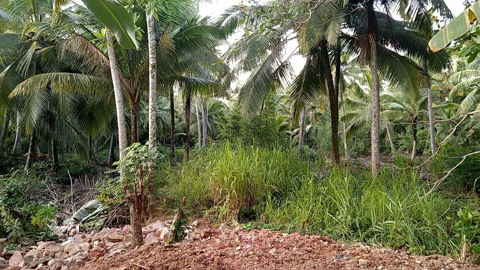 Land for Sale in Galle, Sourthern Province, Sri Lanka
