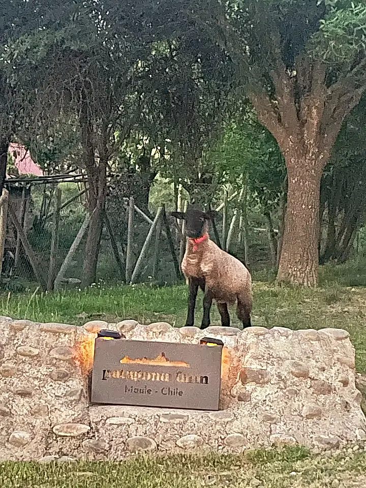 South America Farms and Land for Sale List and Find the Best Farm and