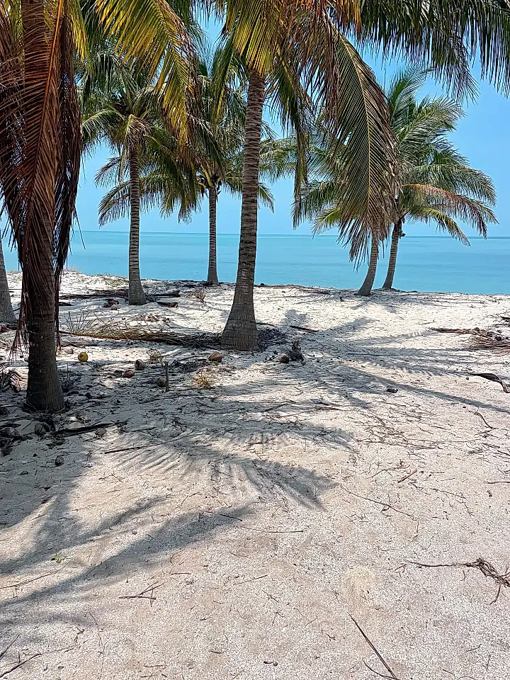 Beachfront Lots for Sale in Municipo De Champoton, Campeche, Mexico