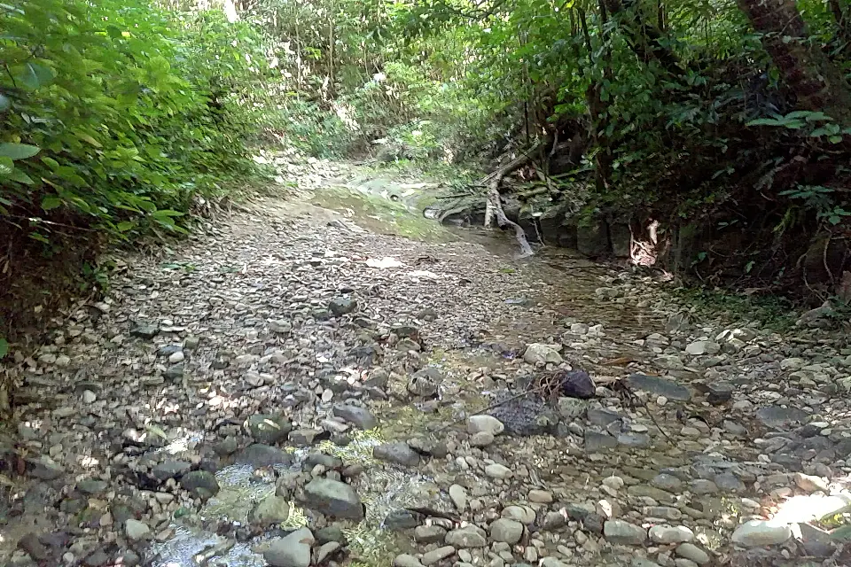 Caribbean Farms and Ranches for Sale List and Find the Best Farm and