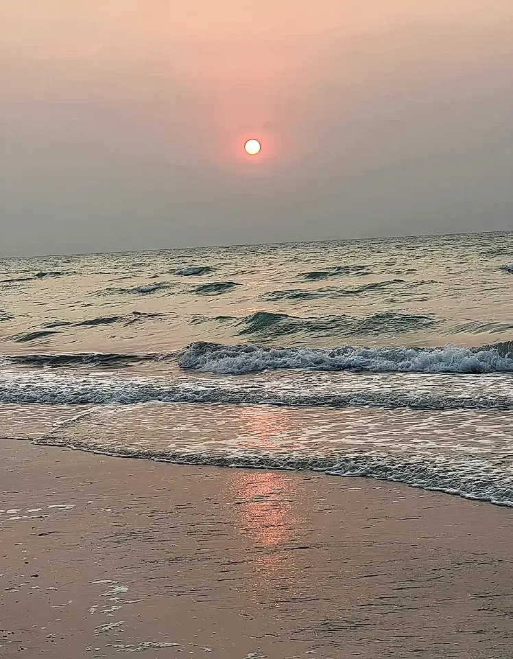 Mexico Lots and Land for Sale List and Find the Best Lot and Land