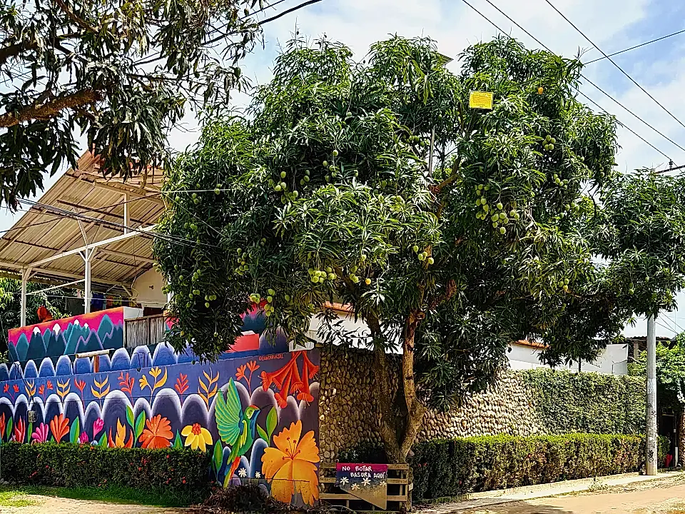 Hostel for Sale in Dibulla, La Guajira, Colombia