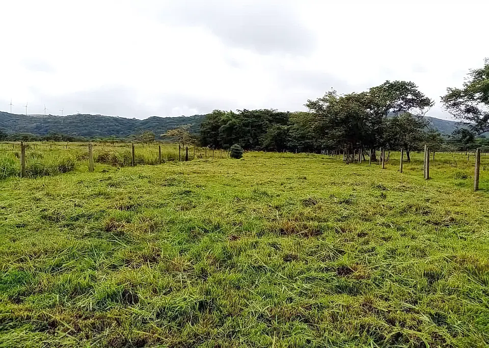 Lot for Sale in Bagaces, Guanacaste, Costa Rica