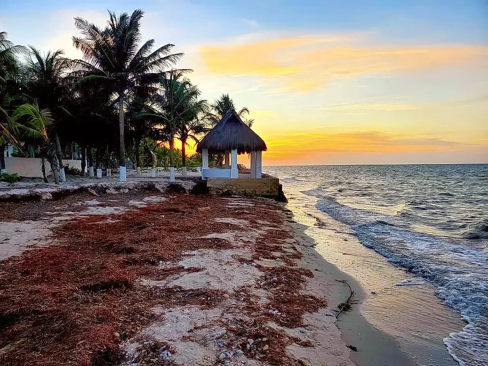 Apartments for Sale and Rent in Sinanche, Yucatan, Mexico