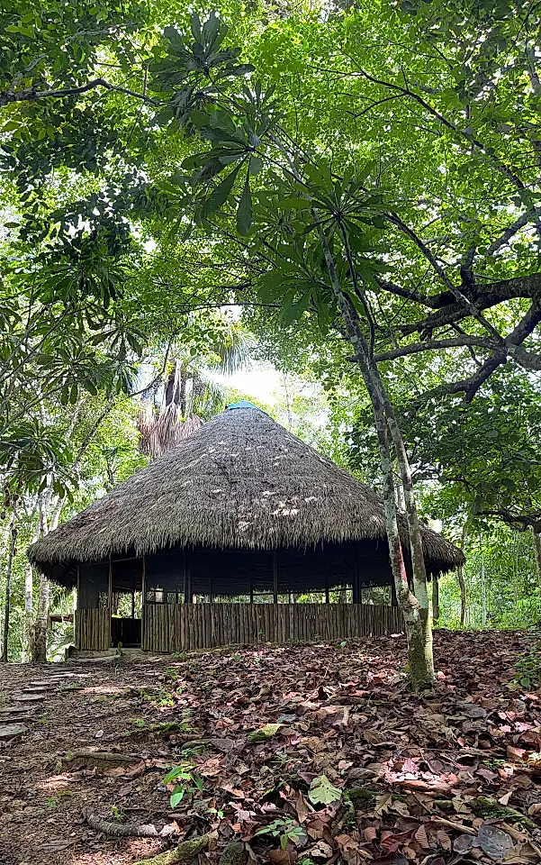 Ayahuasca Lodge for Sale in Maynas, Loreto, Peru