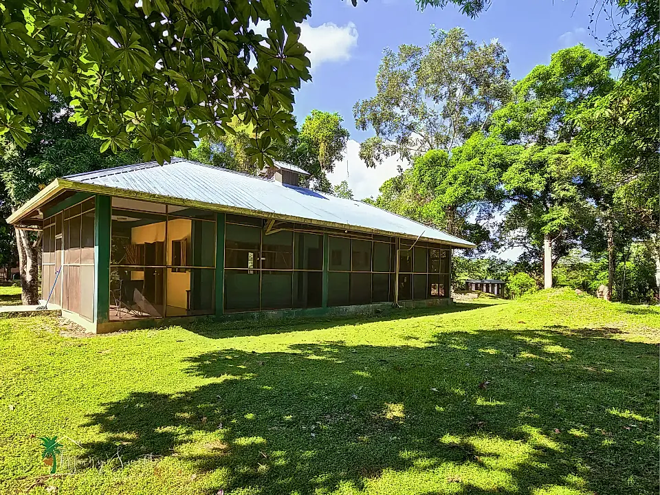 Five-Acre Mango Farm for Sale in San Ignacio, Cayo, Belize