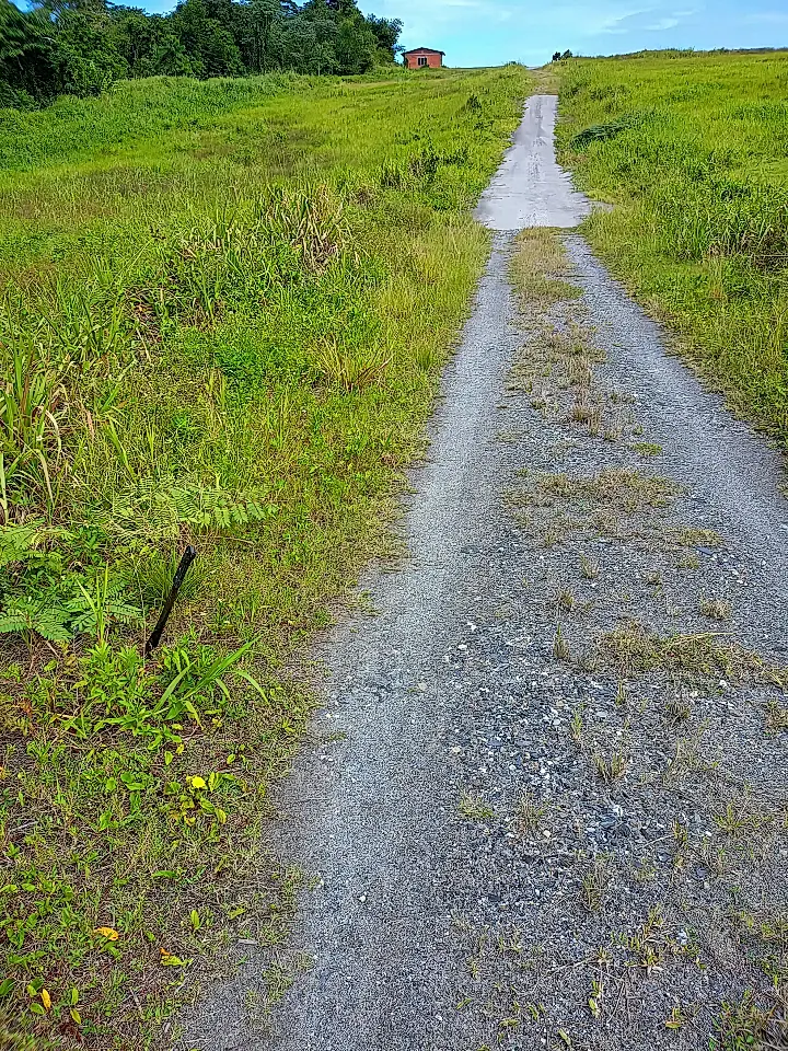 Beachside Lots for Sale in Guayaguayare, Mayaro, Trinidad and Tobago