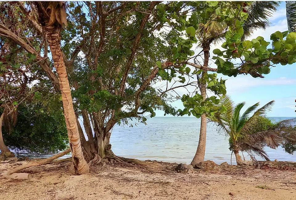 Oceanfront Building Lot for Sale in Cerros Peninsula, Corozal, Belize