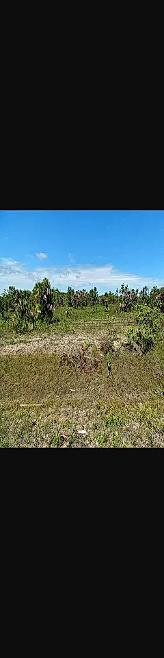 Land for Sale in Burrell Boom, Belize