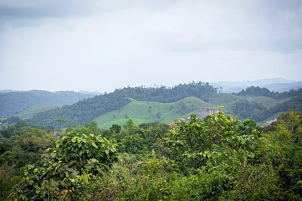 100-Acre Tropical Ranch for Sale in Mountain Pine Ridge Road, Cayo, Belize
