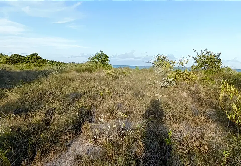 Waterfront Lot for Sale in Sarteneja Village, Corozal, Belize