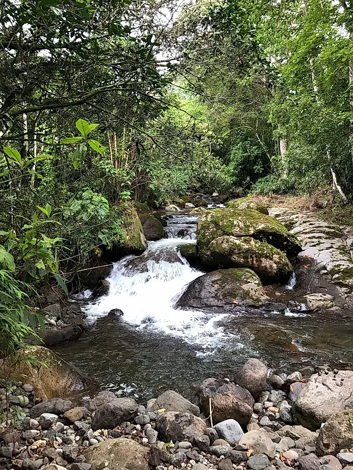 Mushroom Farm for Sale in Paraiso, Cartago, Costa Rica