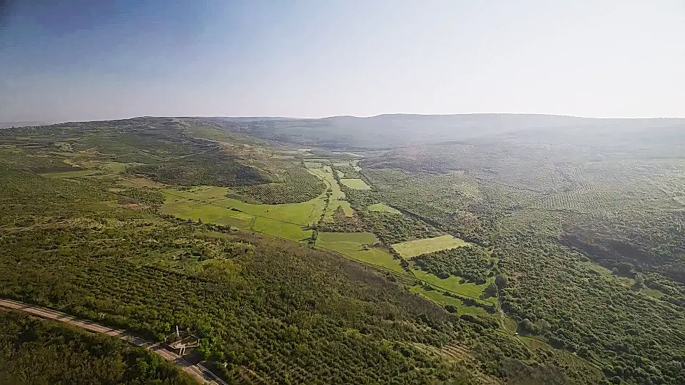 Agricultural Land for Sale in Ungheni, Moldova