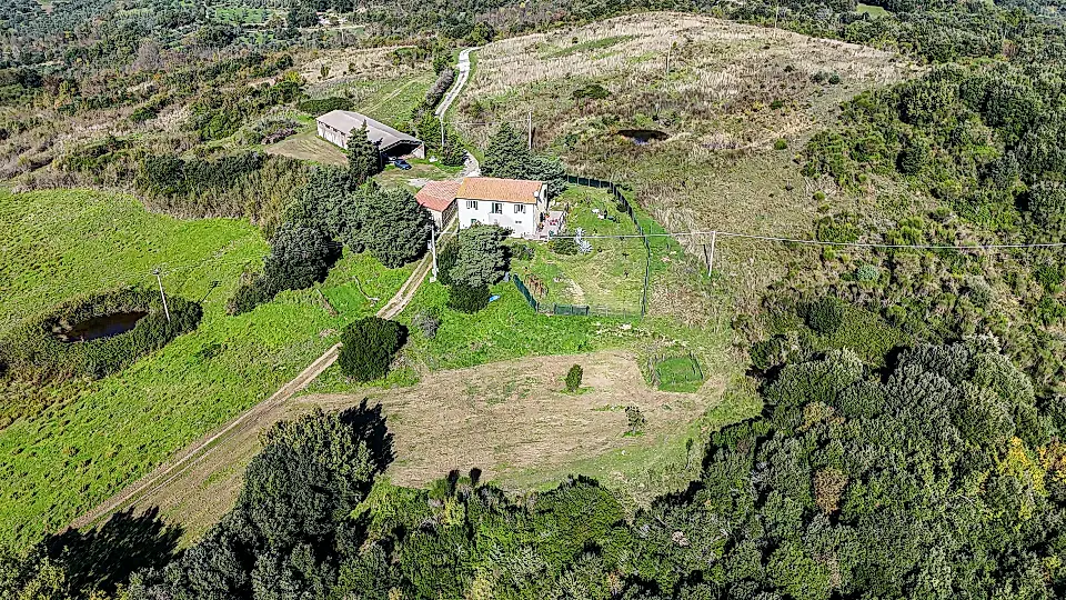 Tuscan Estate / Olive Oil Farm for Sale in Pisa, Tuscany, Italy