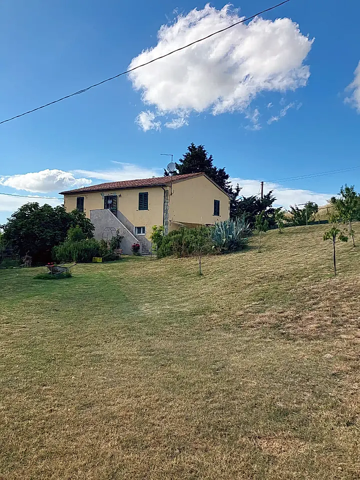 Tuscan Estate / Olive Oil Farm for Sale in Pisa, Tuscany, Italy