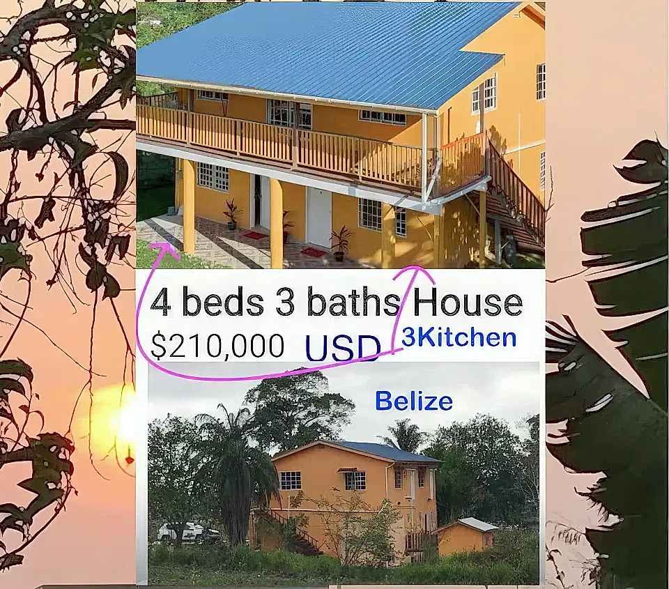 Rental Income Property for Sale in San Ignacio North, Cayo, Belize