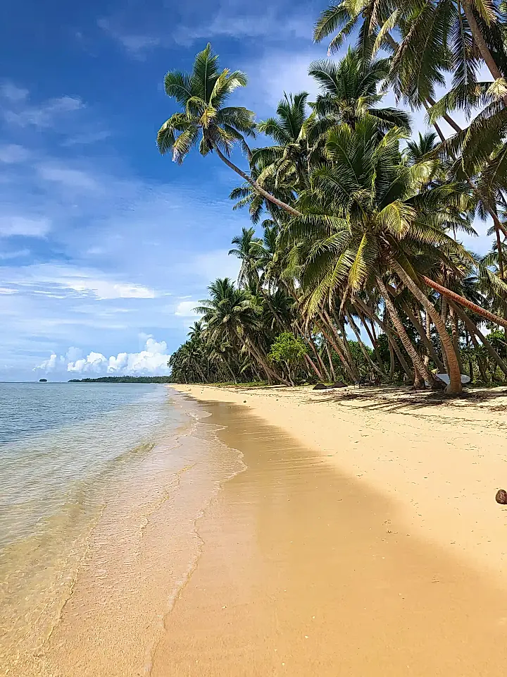 Beach House for Sale in Cakaudrove, Northern Division, Fiji