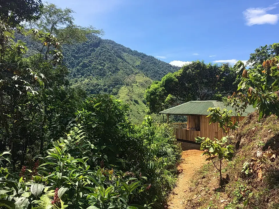 Cacao Farm for Sale in San Luis, Antioquia, Colombia