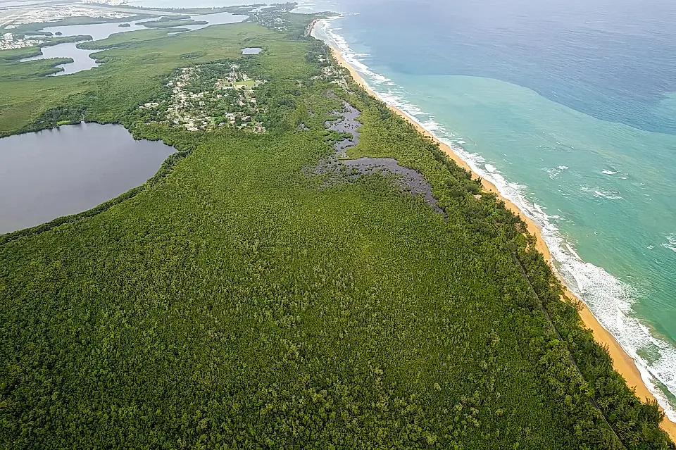 Vacant Beachfront for Sale in Torrecilla Baja, Loiza, Puerto Rico