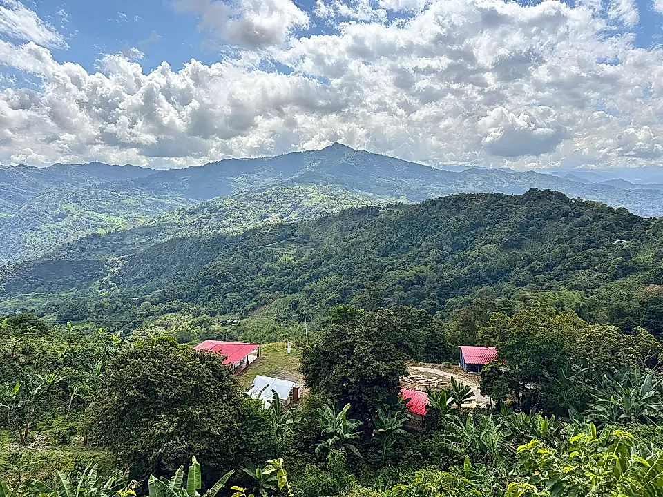 Specialty Coffe Farm for Sale in Nocaima, Cundinamarca, Colombia