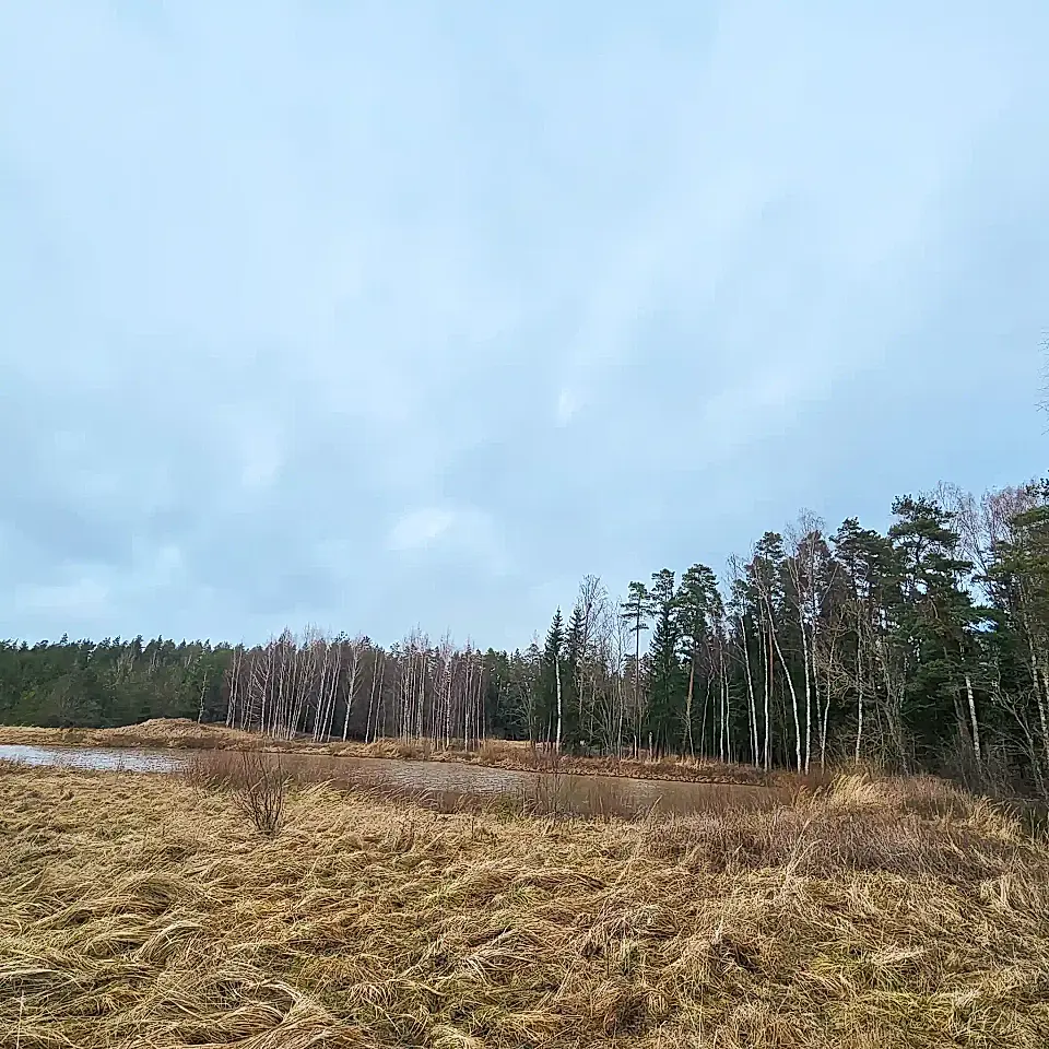 Forest Land for Sale in Nikraces, Kuldigas, Latvia