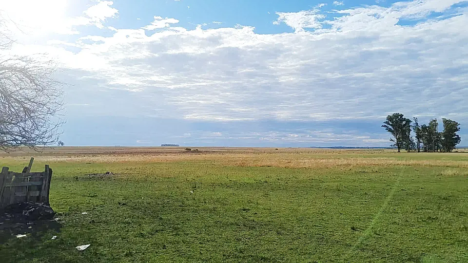 13 Hectares for Sale in Villa Constitucion, Salto, Uruguay