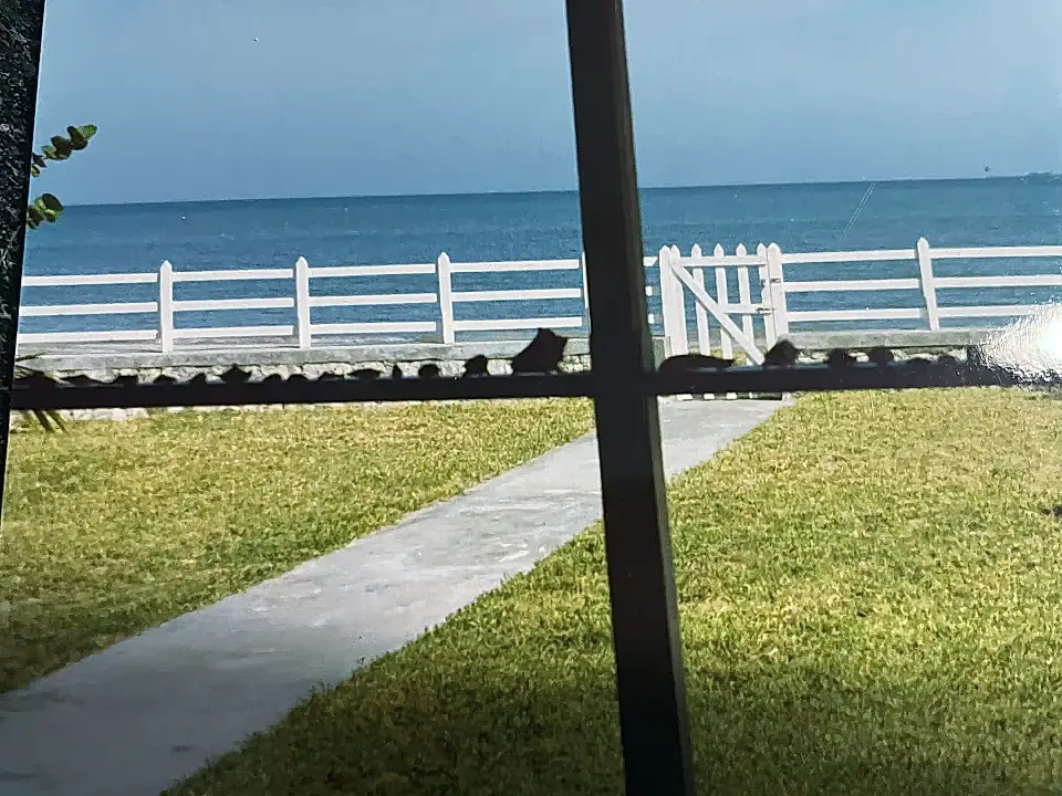 Beachfront for Sale in Parottee, Saint Elizabeth, Jamaica