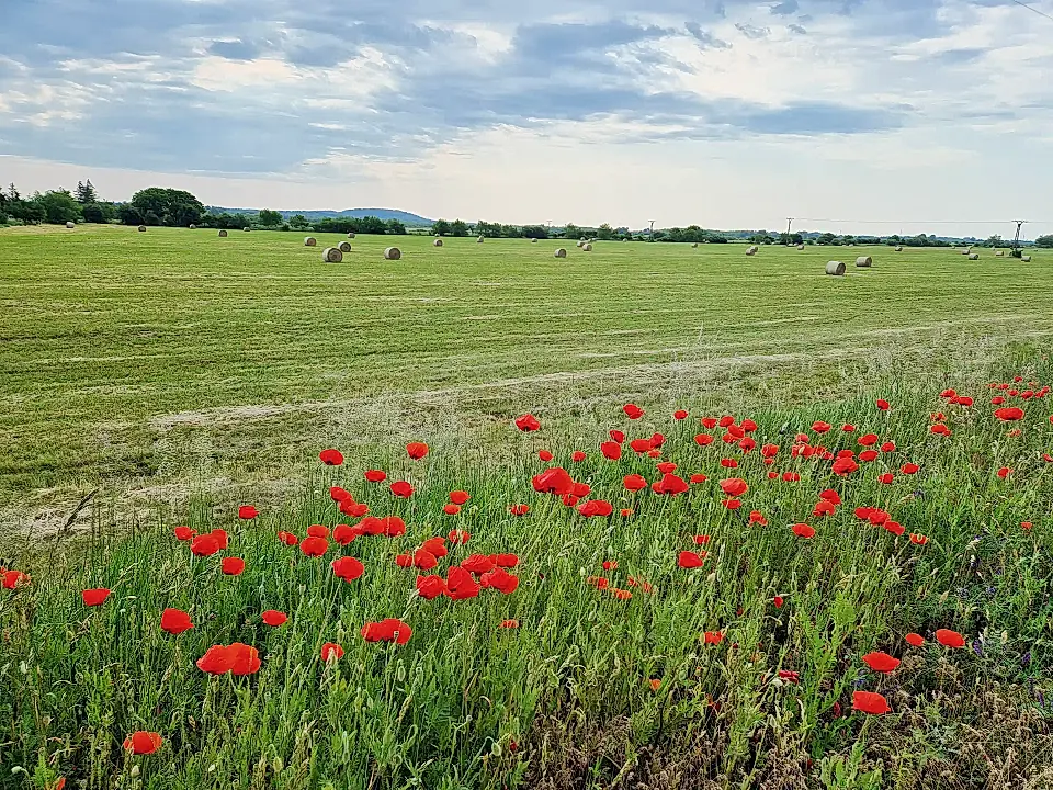Land for Sale in Trebisov, Kosice, Slovakia