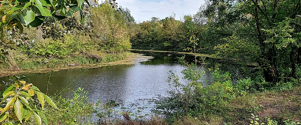 Land for Sale in Trebisov, Kosice, Slovakia