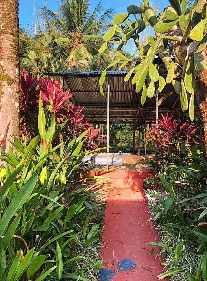 Room for Rent in Osa, Puntarenas, Costa Rica