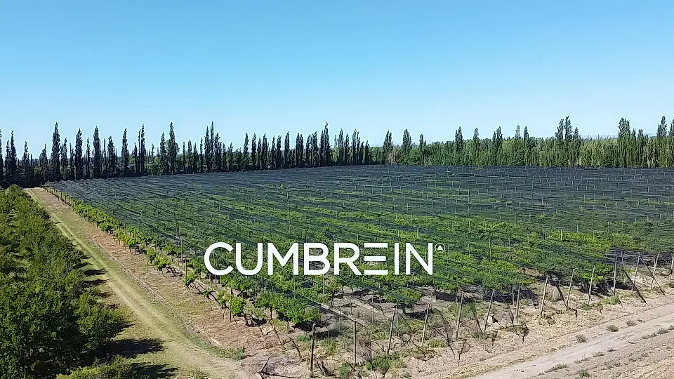 Vineyard & Agricultural Estate for Sale in San Rafael, Mendoza Province, Argentina
